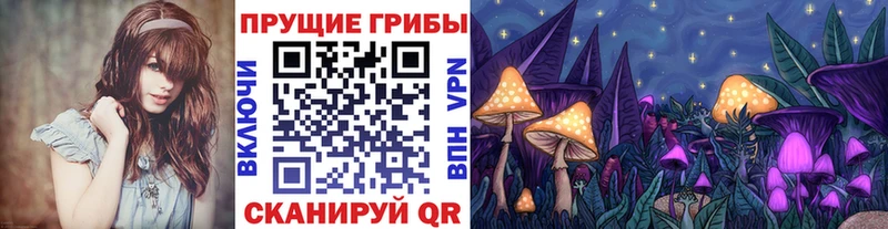 Псилоцибиновые грибы мухоморы Щучье
